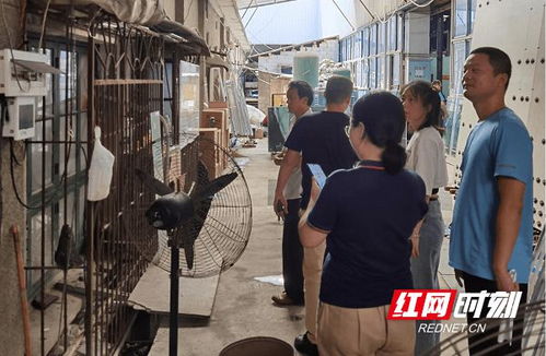 向工貿企業(yè) 亮劍 岳麓區(qū)打響事故防范攻堅戰(zhàn)