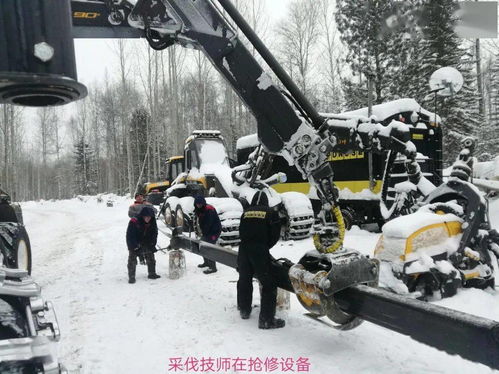 咱們支部有力量 中俄托木斯克工貿合作區(qū)黨支部 抓好黨建主軸線 改革攻堅贏勝利