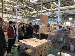 大鵬新區安監局執法人員對轄區工貿企業開展防范機械傷害事故專項檢查
