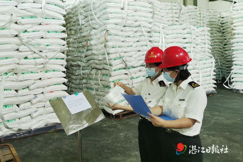 5512噸湛江糖搭乘中歐班列出口