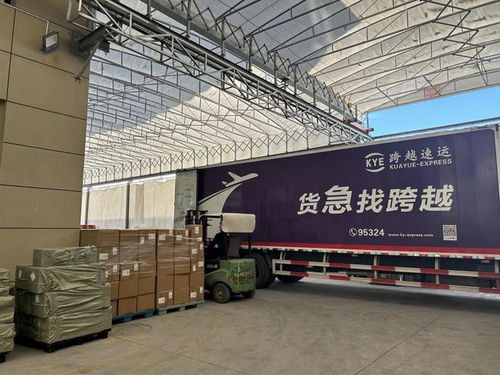 上線不到兩年,打入70余個國家和地區(qū),temu如何海外狂飆