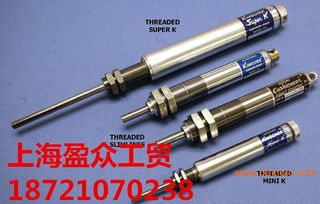 deschner美國白馬穩速器 減震器 上海盈眾,deschner美國白馬穩速器 減震器 上海盈眾生產廠家,deschner美國白馬穩速器 減震器 上海盈眾價格