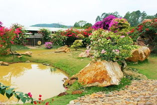 佛山 秋游盈香生態(tài)園 邊玩邊學長見識