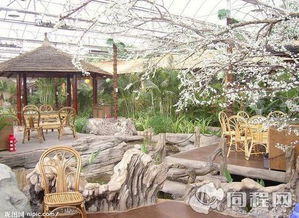 龜茲綠洲生態(tài)園門票預訂