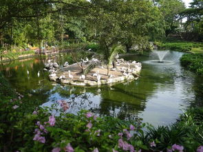 不知道這些都不能說了解新加坡