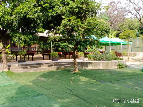 東莞萬荔生態園 企業團建年會與休閑游玩的理想去處