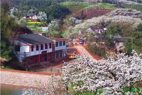 探秘“這就是開(kāi)佛”生態(tài)園 自然與人文的和諧交融