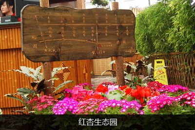 紅杏生態(tài)園 都市近郊的綠色田園夢(mèng)